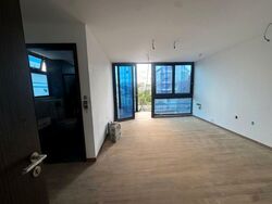 Palm Grove Avenue (D19), Terrace #497829701